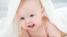 Timeline: Etapas de gestación