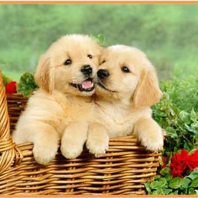 Timeline: Amigos fieles desde siempre