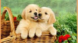 Timeline: Amigos fieles desde siempre