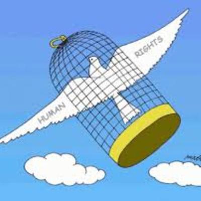 Timeline: Petición por violación de los Derechos Humanos