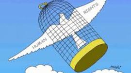 Timeline: Petición por violación de los Derechos Humanos