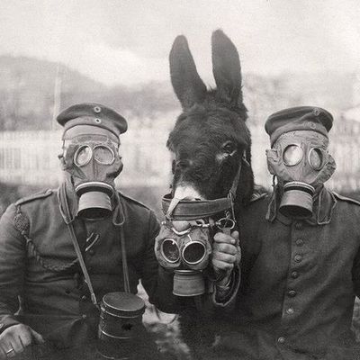 Timeline: world war 1