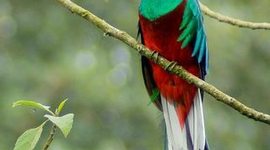 Timeline: resumen de Guatemala