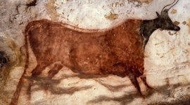 Timeline: Tijdbalk Geschiedenis