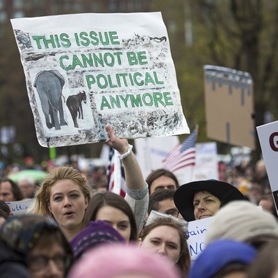 Timeline: The Boston March for Science