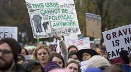Timeline: The Boston March for Science