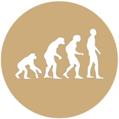 Timeline: Geschiedenis Tijd Balk