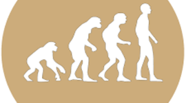 Timeline: Geschiedenis Tijd Balk