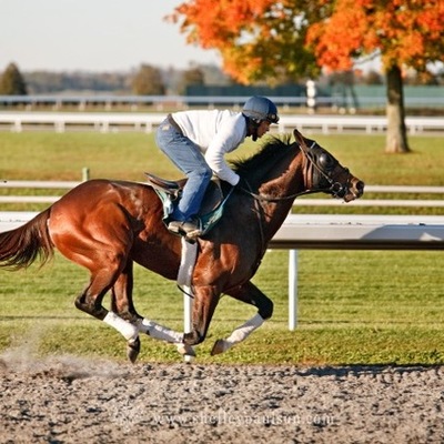 Timeline: the running hores