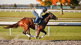 Timeline: the running hores