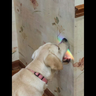 Timeline: Imperialism