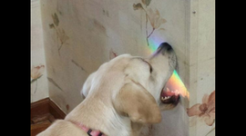 Timeline: Imperialism