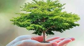 Timeline: Dias ecologicos en el mundo