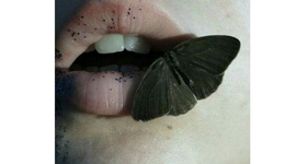 Timeline: Lina Pardo