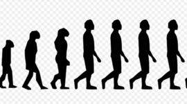 Timeline: Human Evolution