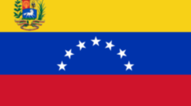 Timeline: Venezuelan Government