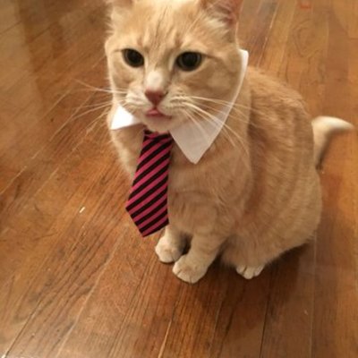 Timeline: История предпринимательства