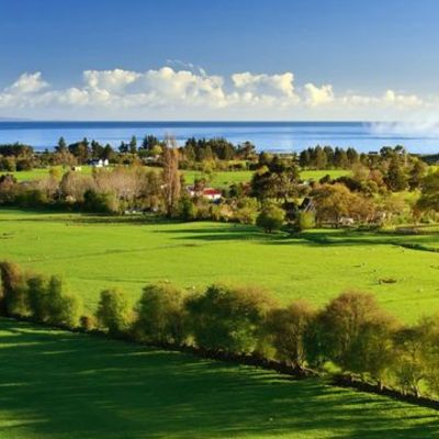 Timeline: EL CUIDADO Y LA ENFERMERÍA A LO LARGO DEL TIEMPO