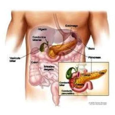 Timeline: CÁNCER PANCREÁTICO