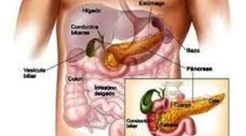 Timeline: CÁNCER PANCREÁTICO