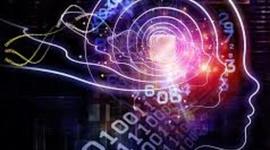 Timeline: La Historia del Conocimiento