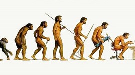 Timeline: Evolución de la administración