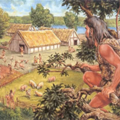 Timeline: Geschiedenis tijdlijn