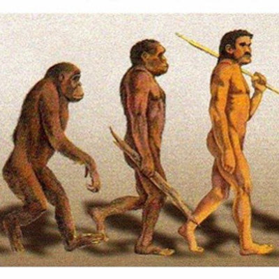 Timeline: Biología: Evolución