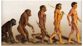 Timeline: Biología: Evolución