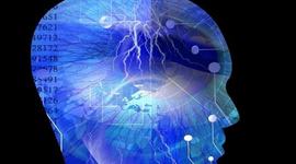 Timeline: Logica difusa