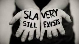 Timeline: Slavery and Human Trafficking In Brazil