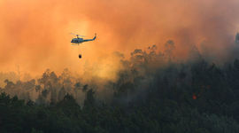 Timeline: История Всемирного дня окружающей среды