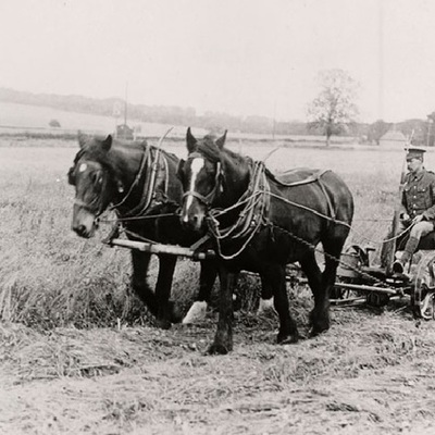 Timeline: Transportation History