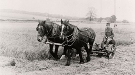 Timeline: Transportation History