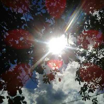 Timeline: historia de mi vida