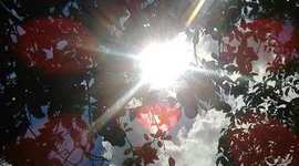 Timeline: historia de mi vida