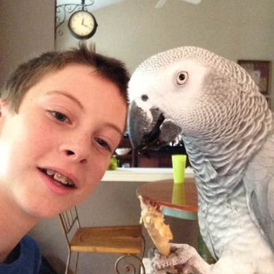 Timeline: Hutch's Devastating Tsunamis