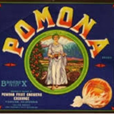 Timeline: History Of Pomona