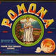 Pomona images