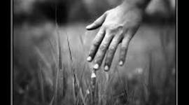 Timeline: MI HISTORIA