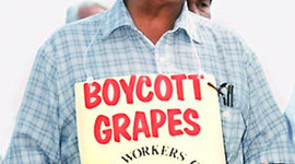 Timeline: Cesar Chavez