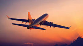 Timeline: Flight Attendant - Transportation Operation