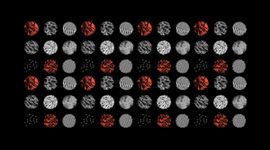 Timeline: Evolución Tecnológica.