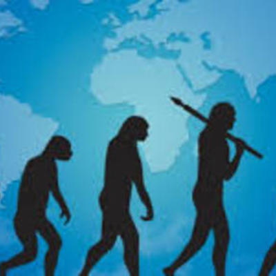 Timeline: Evolución tecnológica