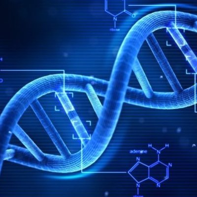 Timeline: Línea del tiempo del ADN