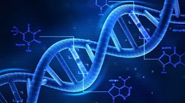 Timeline: Línea del tiempo del ADN