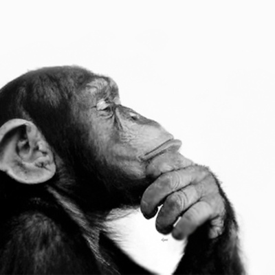 Timeline: HISTORIA DE LA FILOSOFÍA