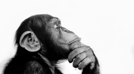 Timeline: HISTORIA DE LA FILOSOFÍA