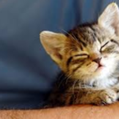 Timeline: vghvhgvvghvhvhgvhgvhgvjhvvtyj