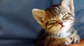 Timeline: vghvhgvvghvhvhgvhgvhgvjhvvtyj